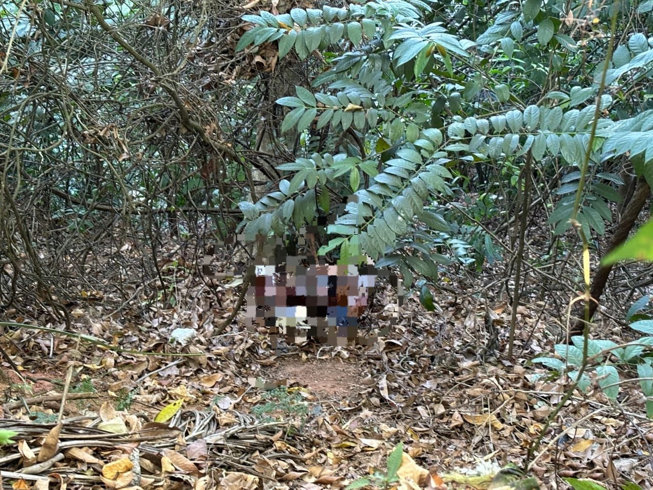 Homem decapitado é encontrado em matagal de Manaus - Portal Foco Amazonico